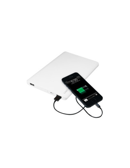 12.000 mAh, 2x USB ports