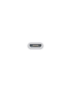Adattatore Lightning / microUSB 2
