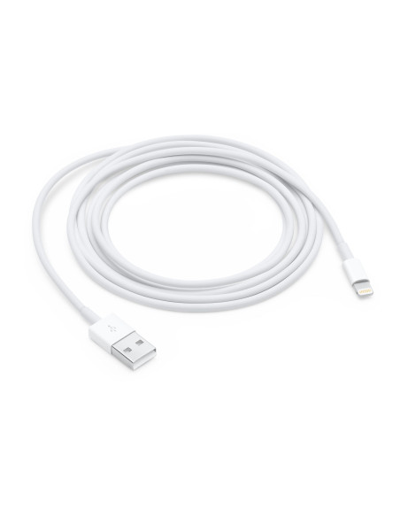 2,00 mt Cavo Apple Lightning / USB