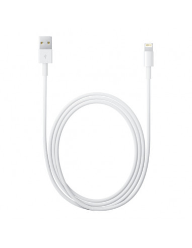 2,00 mt Cavo Apple Lightning / USB