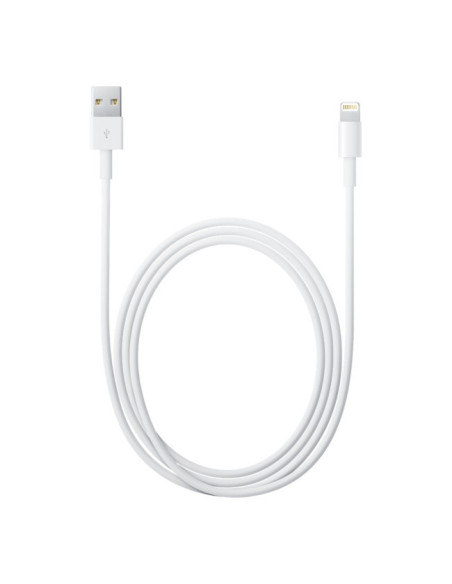2,00 mt Cavo Apple Lightning / USB