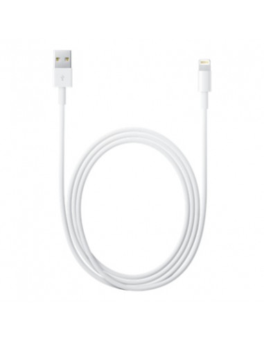 2,00 mt Cavo Apple Lightning / USB