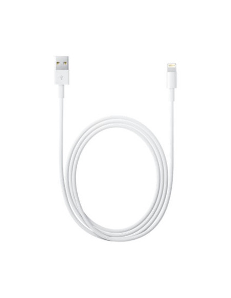 2,00 mt Cavo Apple Lightning / USB
