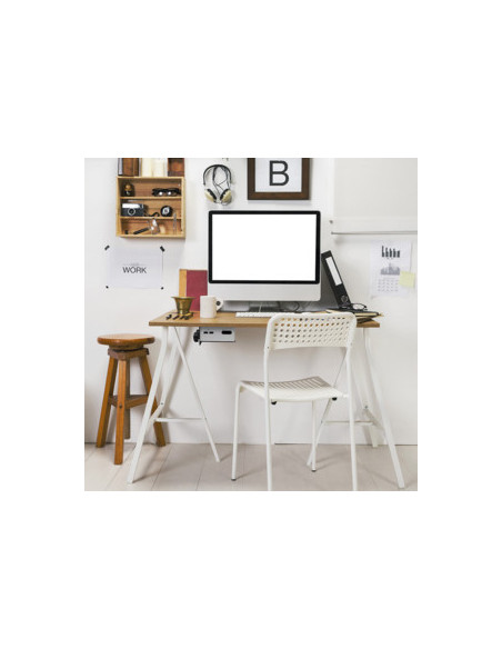 Multifunctional Thin Client mount