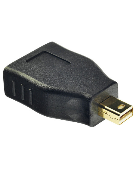Adattatore Mini Display Port - Display Port