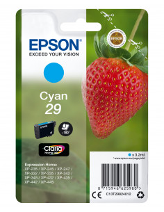 29 Ciano Fragola