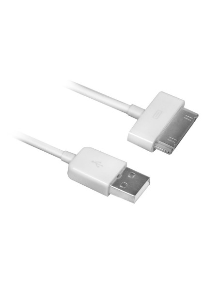1,0 mt - Cavo 2,1A Apple Compatibile (iPad, iPhone, iPod) Dock 30 pin