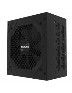 1000W P1000GM Modulare 80+...