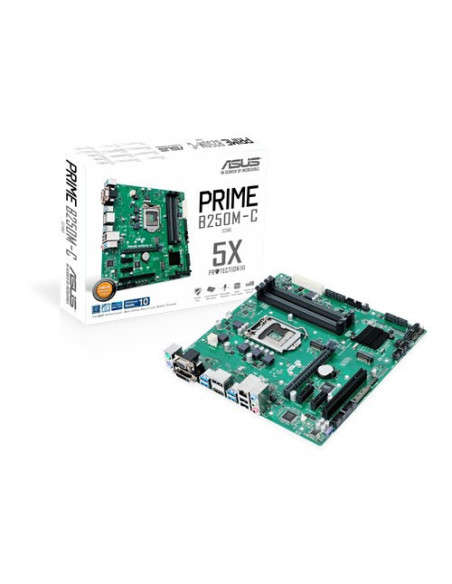 B250M-C Prime mATX M.2 DDR4