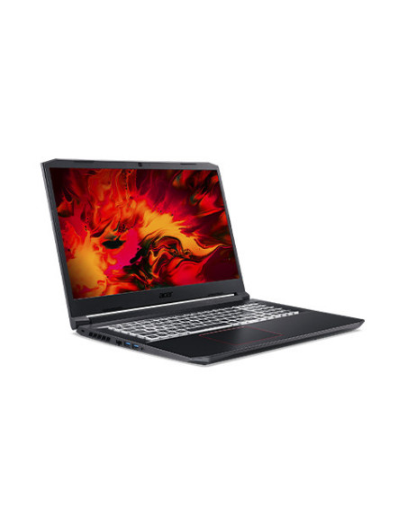 17.3" Nitro 5 Core i7-10750H 16GB GeForce RTX3060/6GB 512GB/NVMe W10H Gaming