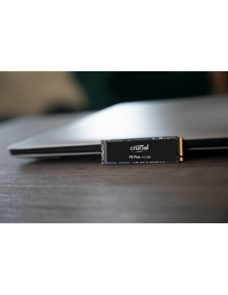 1TB P5 Plus PCIe 4.0 NVMe