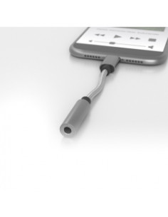 Adattatore USB-C / Jack 3,5mm 2