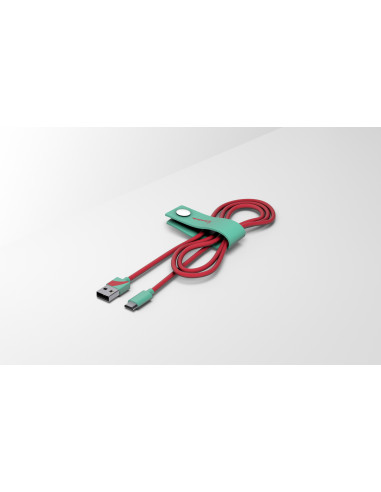 1,20 mt Micro USB cable Vespa...