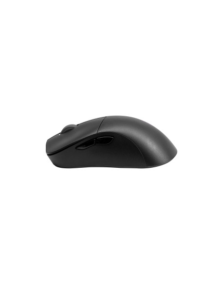 MM731 mouse Right-hand Bluetooth + USB Type-A Optical