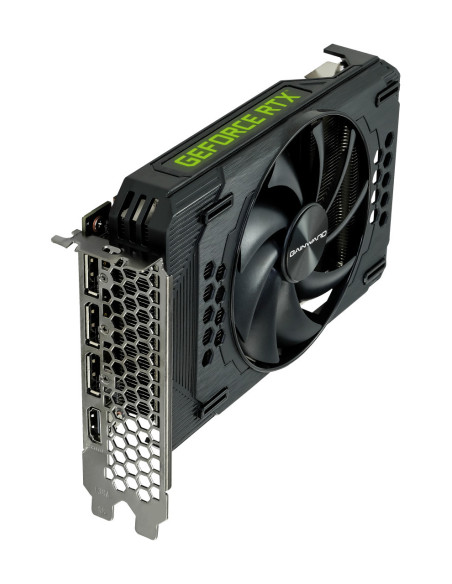 8GB GeForce RTX 3060 Pegasus