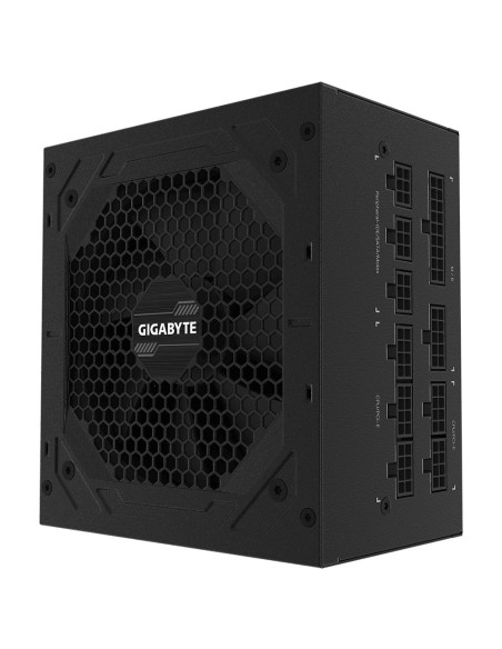 850W P850GM 80 PLUS Gold Fully modular