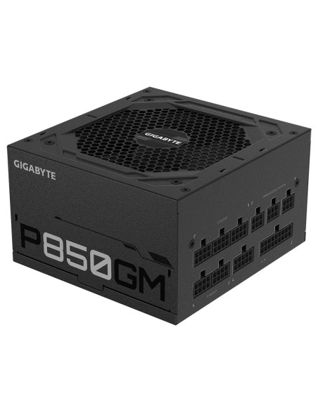 850W P850GM 80 PLUS Gold Fully modular