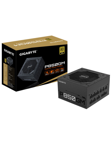 850W P850GM 80 PLUS Gold Fully modular