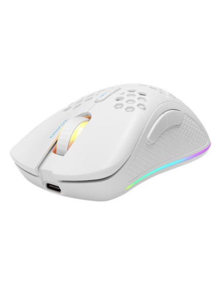 Mouse Right-hand RF Wireless + USB Type-C Laser 6400 DPI, White RGB