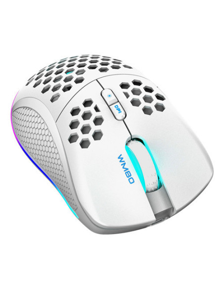Mouse Right-hand RF Wireless + USB Type-C Laser 6400 DPI, White RGB
