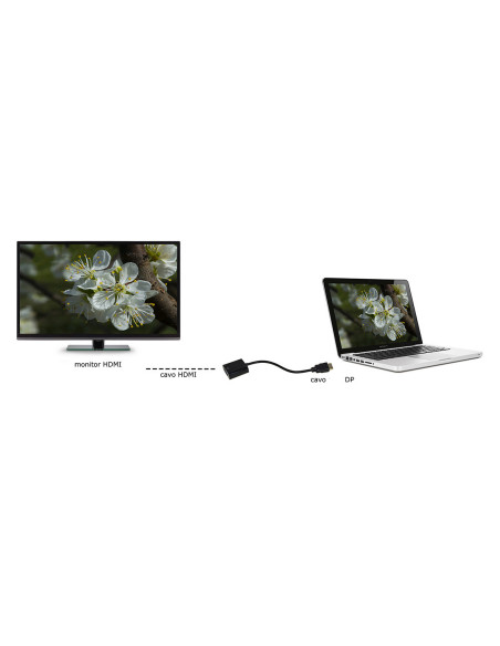 Adattatore Display Port M - HDMI F