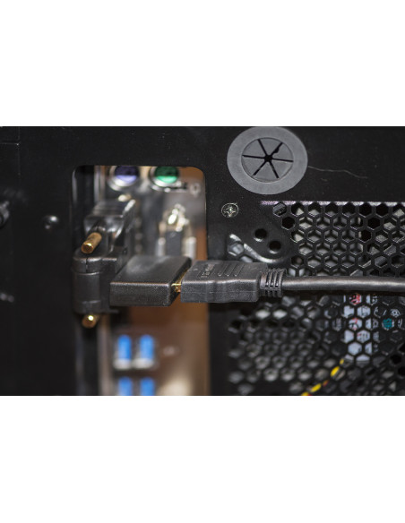 DVI (24+1) maschio - HDMI femmina, inclinabile e routabile, Nero
