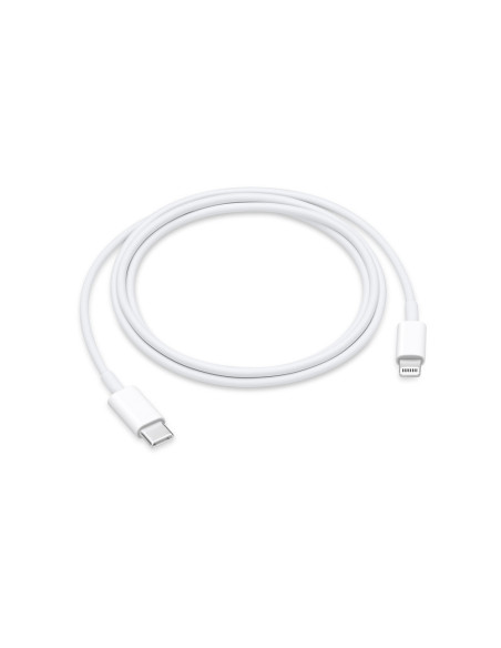 1mt Lightning to USB C