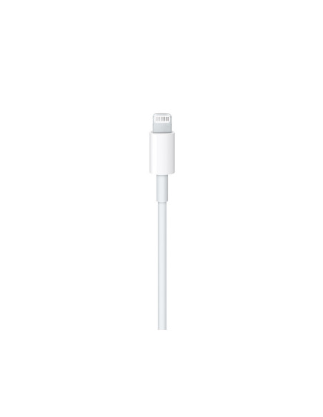 1mt Lightning to USB C