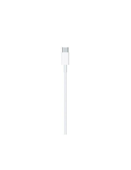 1mt Lightning to USB C