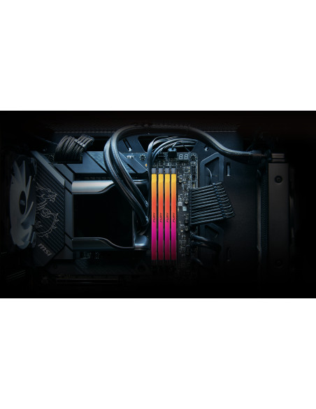 32GB (2x16GB) FURY Renegade RGB 6,0GHz