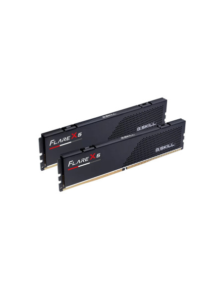 32GB (2x16GB) Flare X5 6,0GHz EXPO CL30