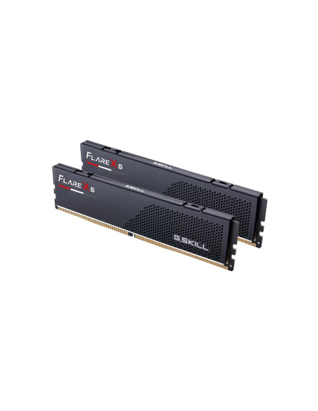 32GB (2x16GB) Flare X5 6,0GHz Dual-channel EXPO