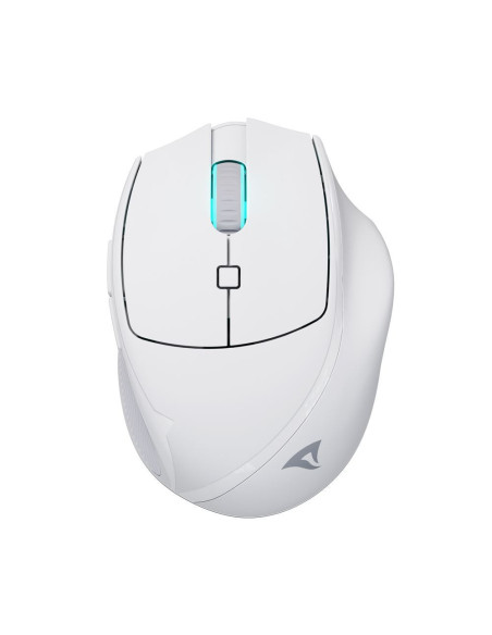 OfficePal M25W Mouse Right-hand RF Wireless + USB Type-C Optical 4000 DPI White