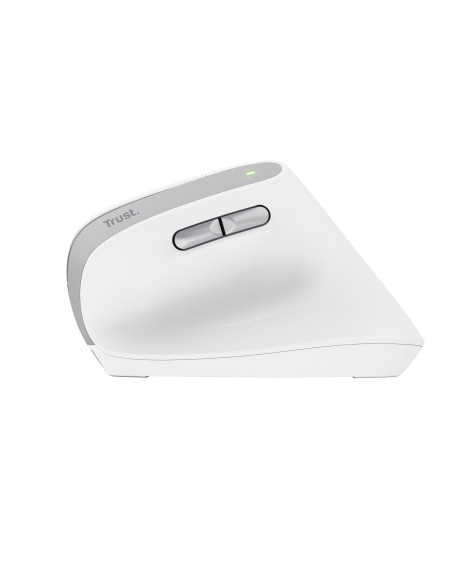 Bayo II mouse Office Right-hand RF Wireless Optical 2400 DPI