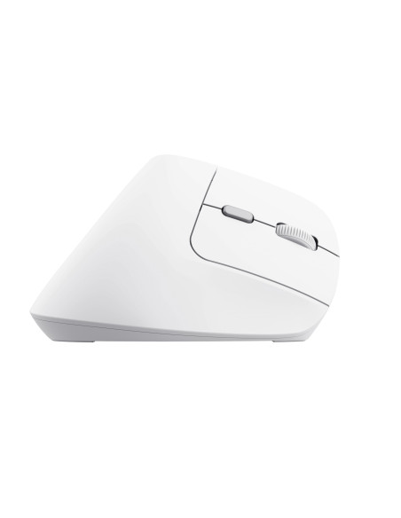 Bayo II mouse Office Right-hand RF Wireless Optical 2400 DPI