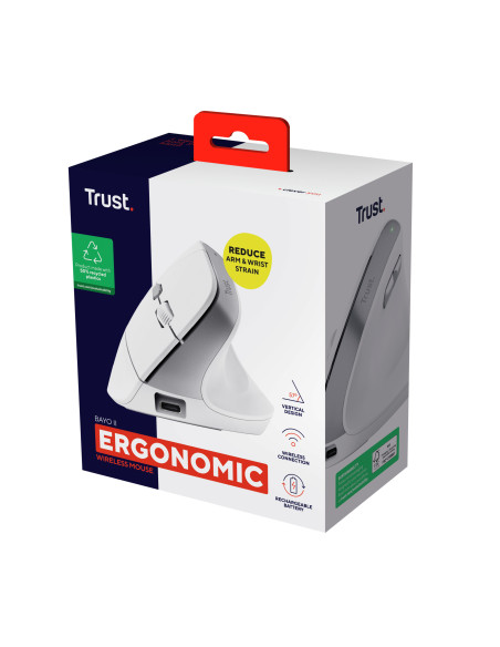 Bayo II mouse Office Right-hand RF Wireless Optical 2400 DPI