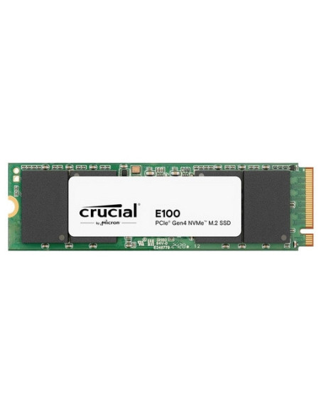 1TB E100 PCI-E 4.0 NVMe 5GB/s 4,5GB/s