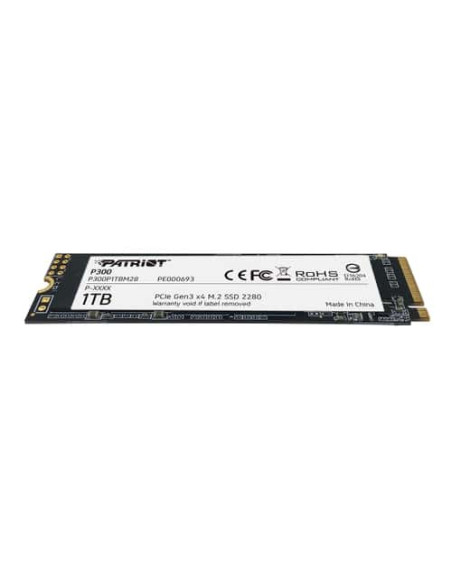 1TB P300 PCIE 3.0 NVMe