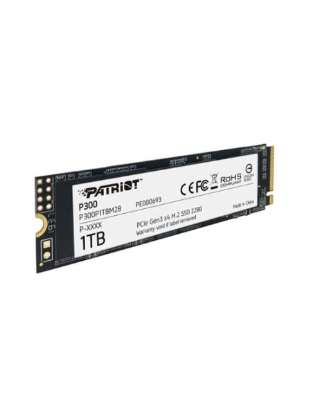 1TB P300 PCIE 3.0 NVMe