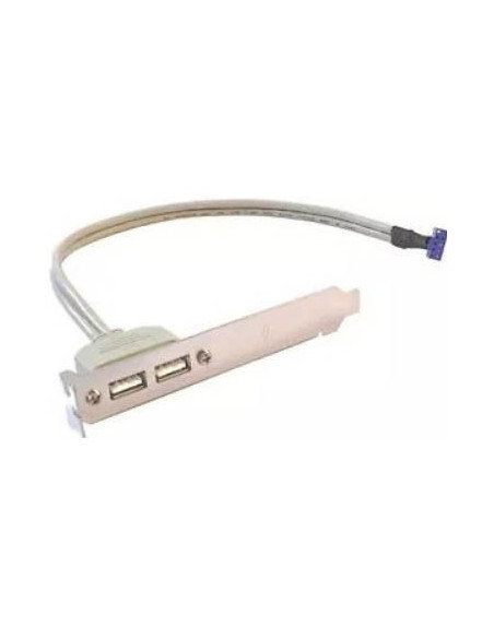USB Bracket USB 2.0 x 2