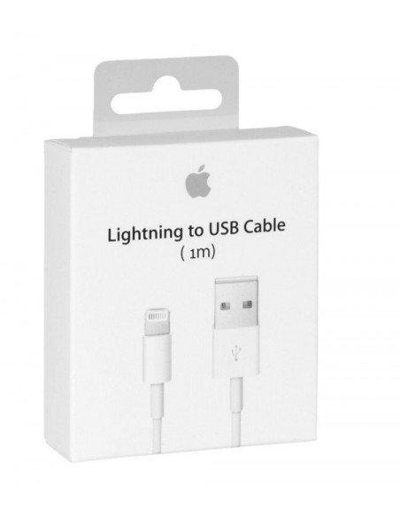 1,00 mt Cavo Apple Lightning a USB