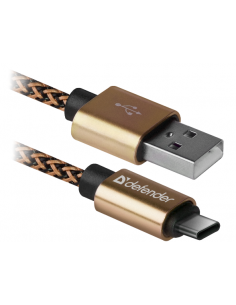 1,00 mt USB - USB-C ORO