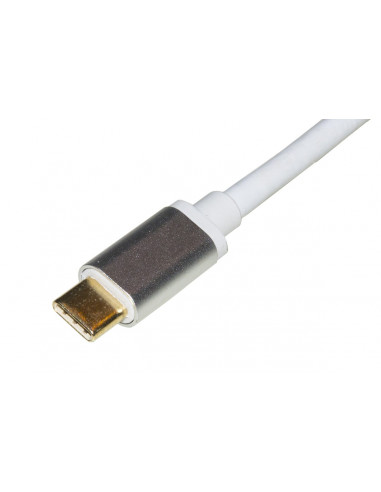 Adattatore USB Type C - HDMI 4K + VGA